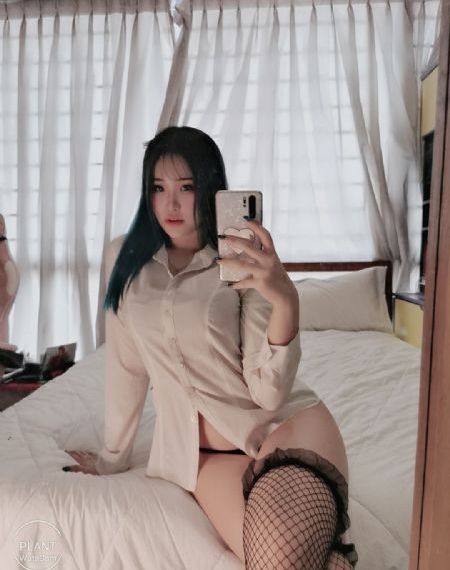 《假树》电影在线观看