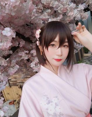 丛林法则免费观看完整版