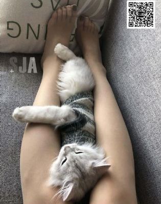 不卡国产