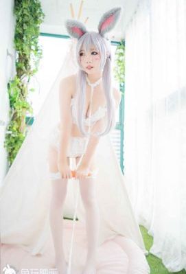 春夏秋冬又一春