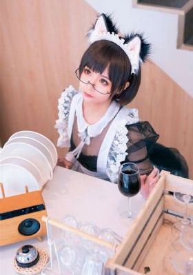 兔子先生第四季在线观看免费