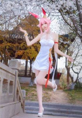 细狗网页版免费登录入口
