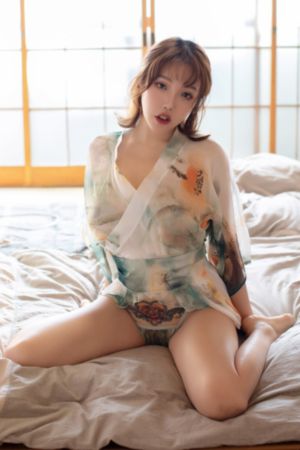大明王朝电视剧1566