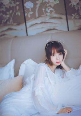 超级翁婿 电视剧